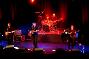 NEIL DIAMOND SUPER HITS SHOW