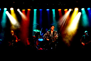 NEIL DIAMOND SUPER HITS SHOW